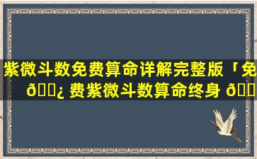 紫微斗数免费算命详解完整版「免 🌿 费紫微斗数算命终身 🐎 详解」